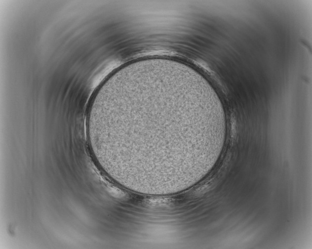 X0000099521274200806051202