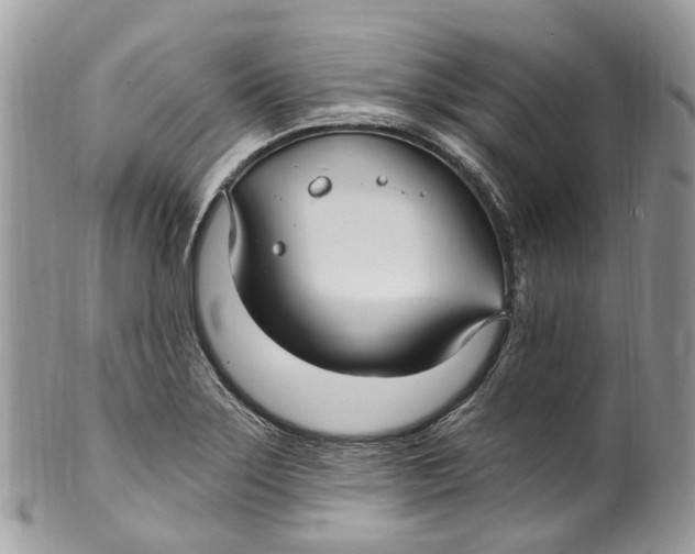 X0000099521275200806051202