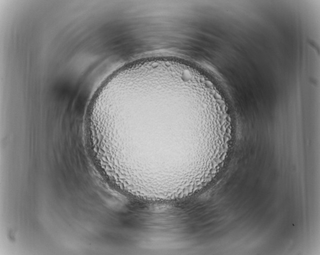 X0000099521278200806051202