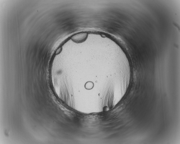 X0000099521279200806051202