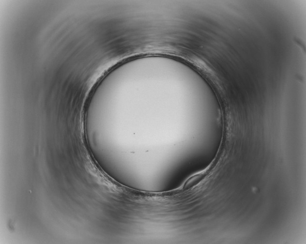 X0000099521280200806051202