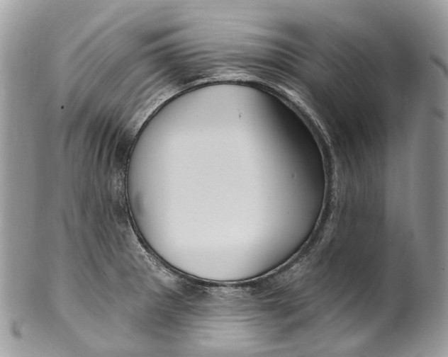 X0000099521281200806051202