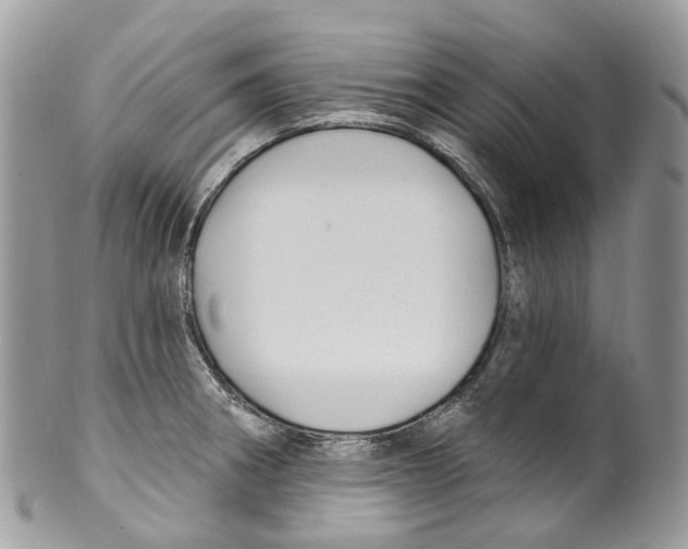 X0000099521282200806051202