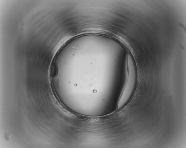 X0000099521283200806051202