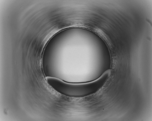 X0000099521284200806051202