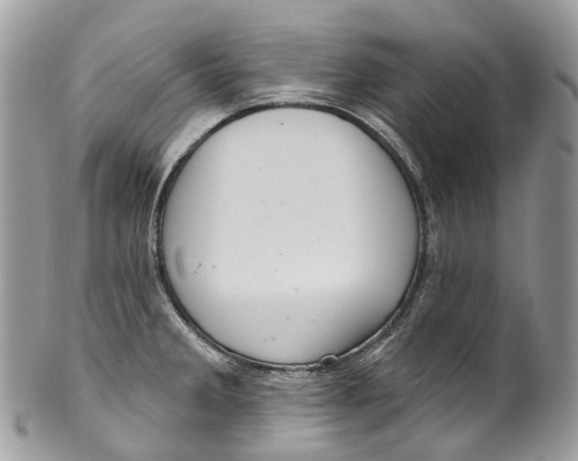 X0000099521285200806051202