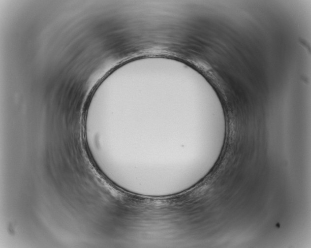 X0000099521286200806051202