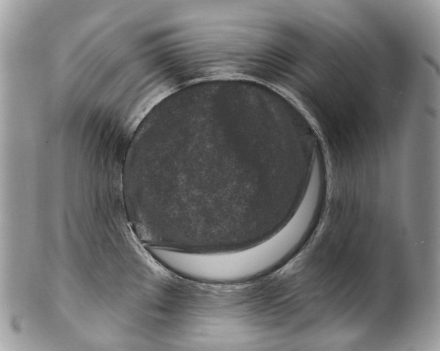 X0000099521289200806051202