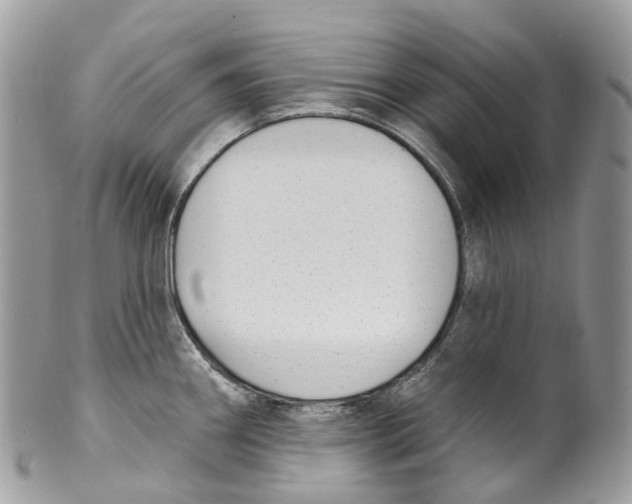 X0000099521290200806051202