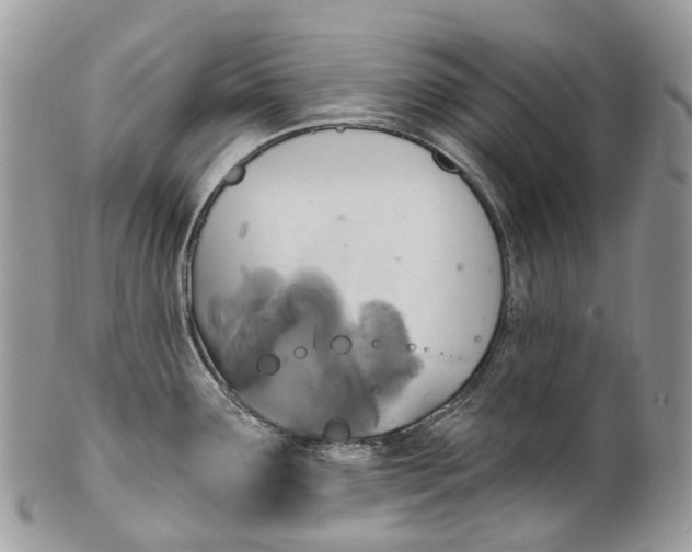 X0000099521291200806051202