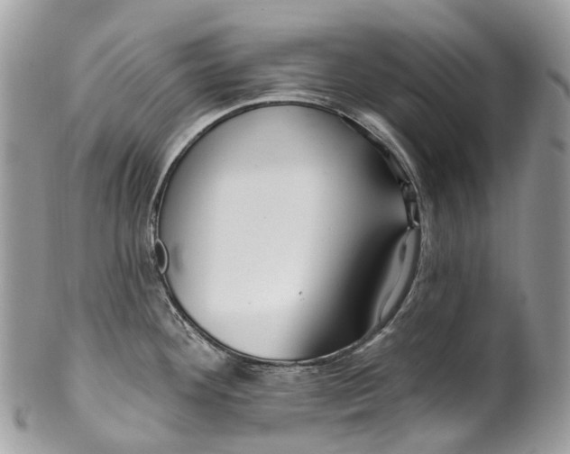 X0000099521292200806051202