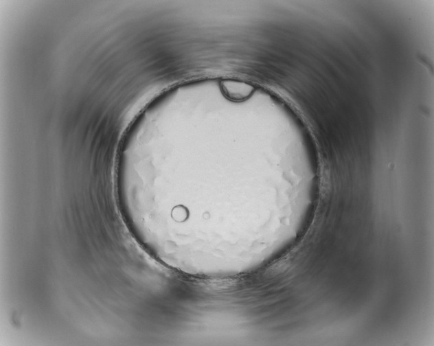 X0000099521294200806051202