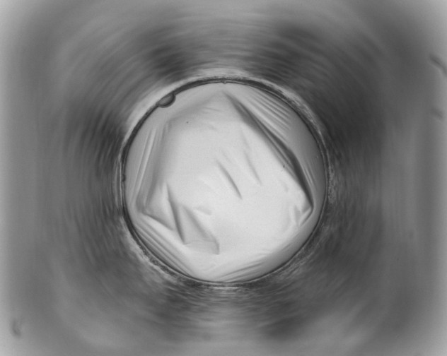 X0000099521295200806051202