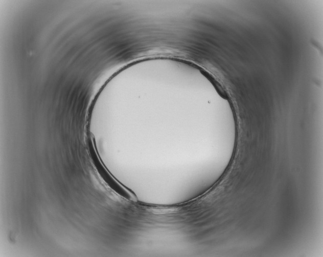 X0000099521296200806051202