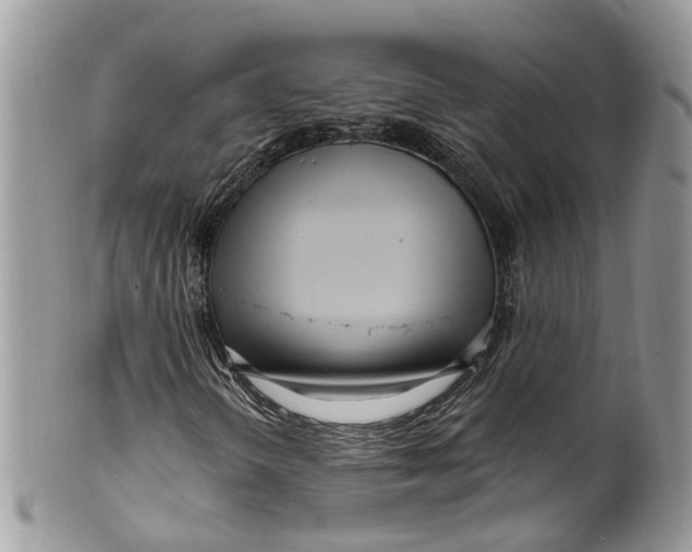 X0000099521298200806051201