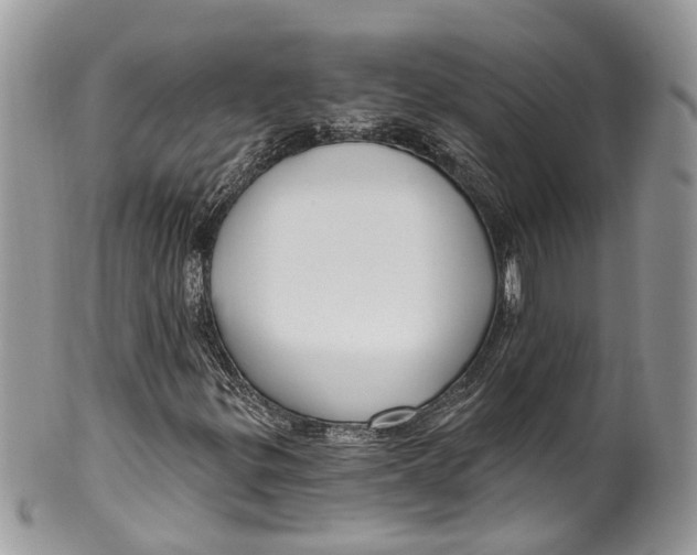 X0000099521299200806051201