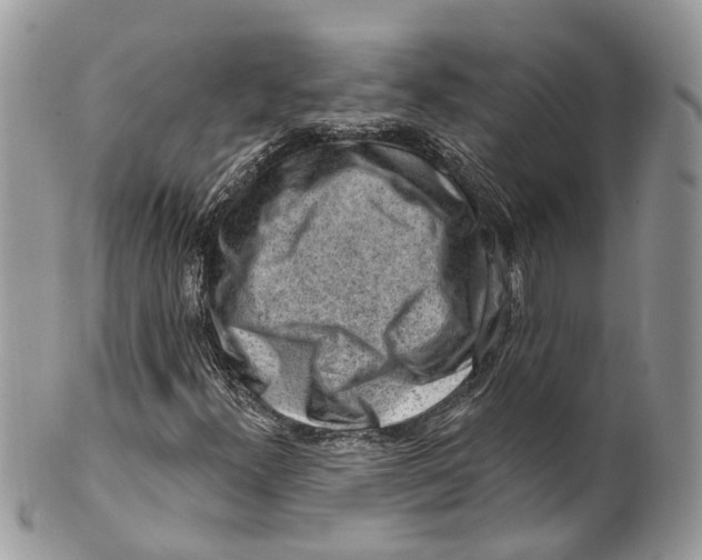 X0000099521300200806051201