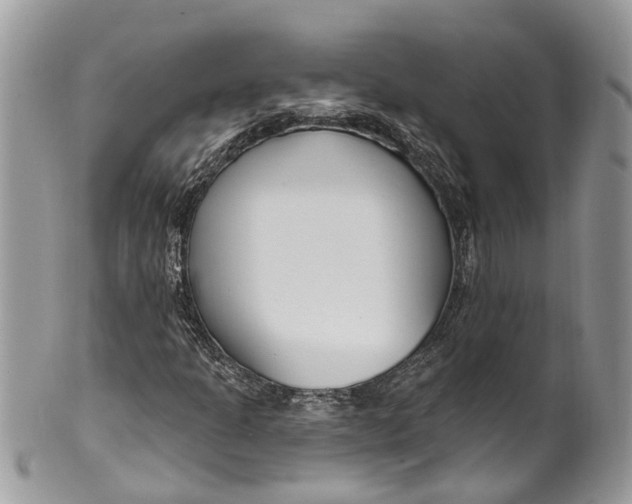 X0000099521301200806051201