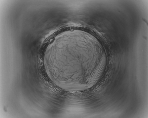 X0000099521303200806051201