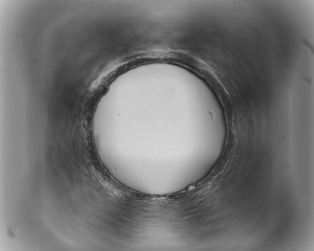 X0000099521304200806051201