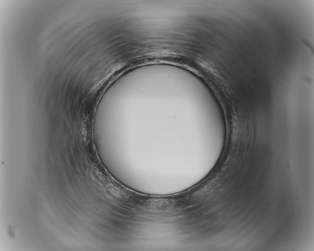 X0000099521305200806051201