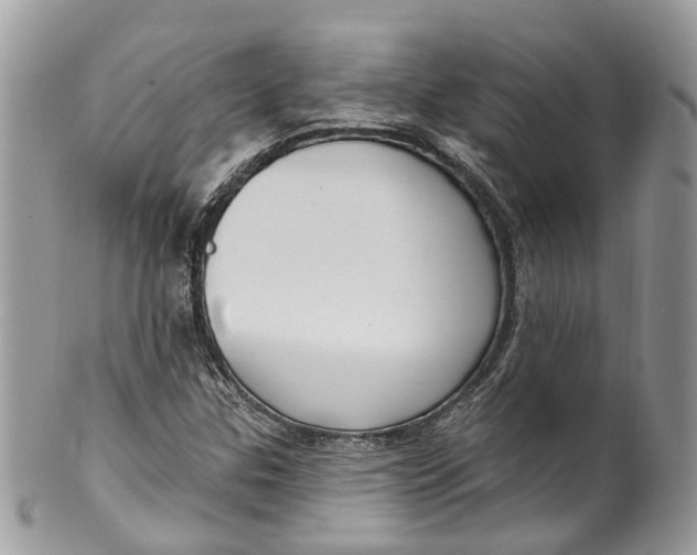 X0000099521307200806051201