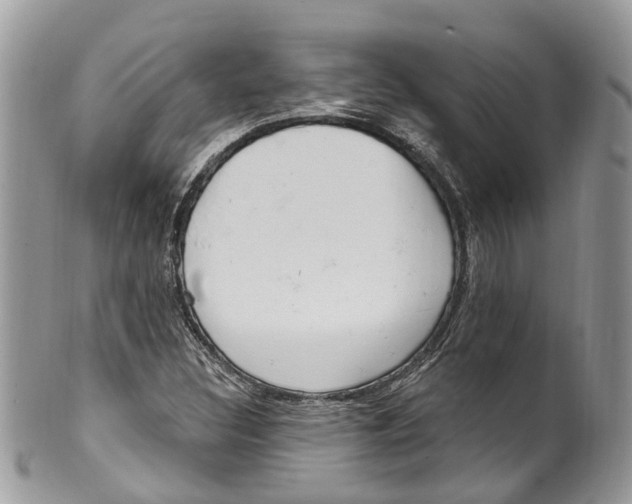 X0000099521308200806051201