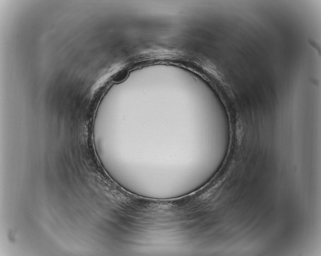 X0000099521309200806051201