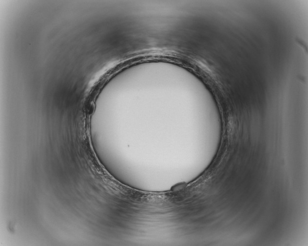 X0000099521310200806051201