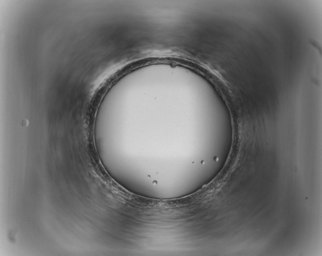 X0000099521311200806051201