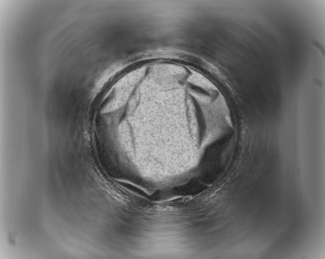 X0000099521312200806051201