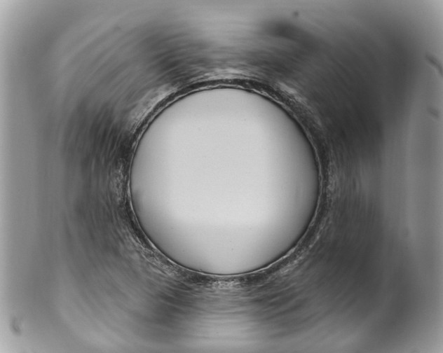 X0000099521313200806051201