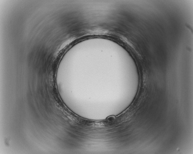 X0000099521315200806051201