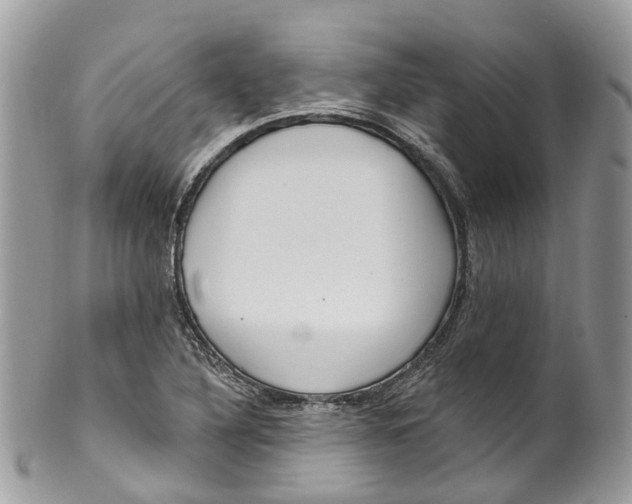 X0000099521316200806051201