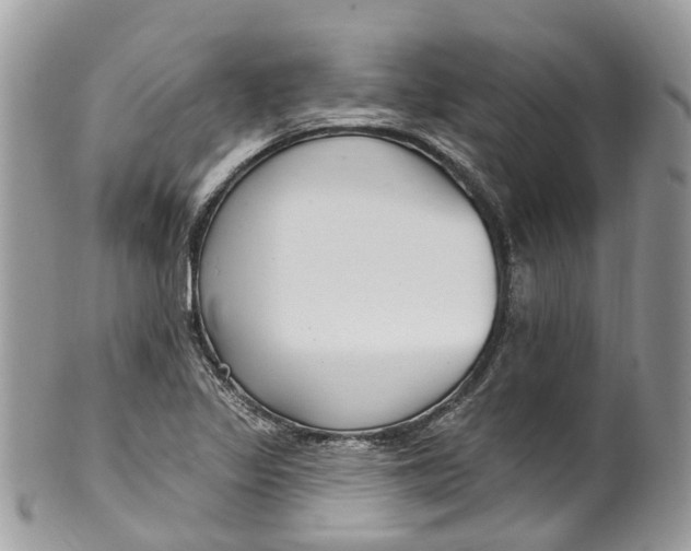 X0000099521317200806051201