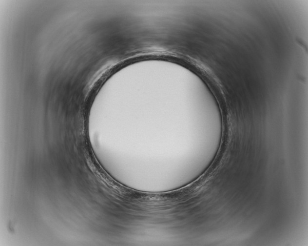 X0000099521318200806051201