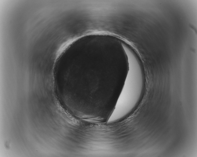 X0000099521319200806051201