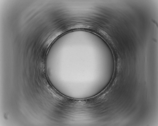 X0000099521321200806051201