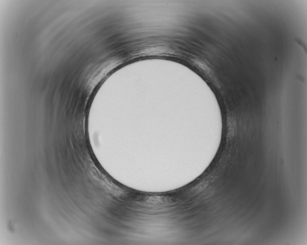 X0000099521322200806051201