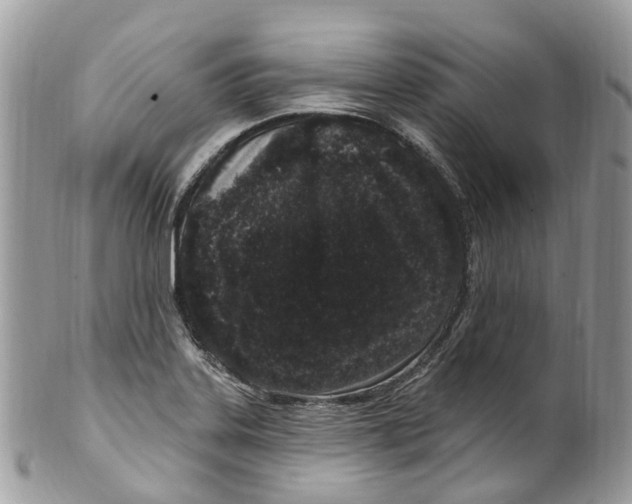 X0000099521323200806051202