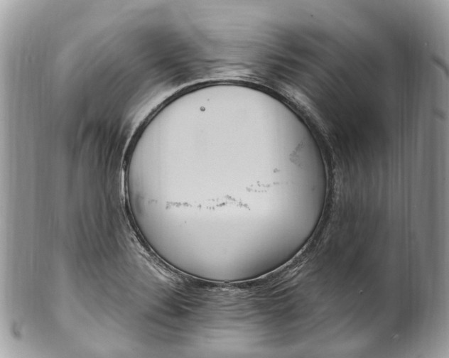 X0000099521324200806051202