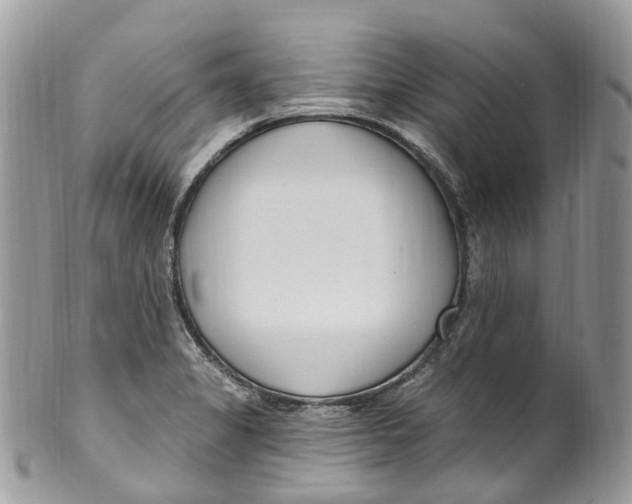 X0000099521325200806051202