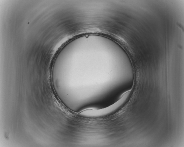 X0000099521326200806051202