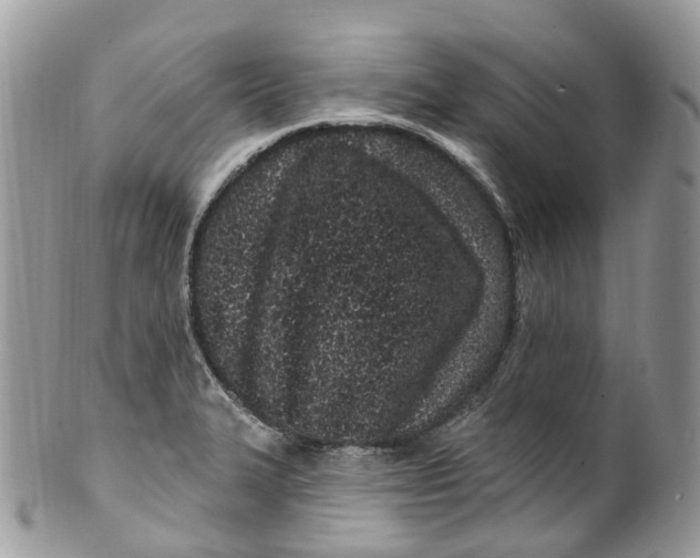 X0000099521327200806051202