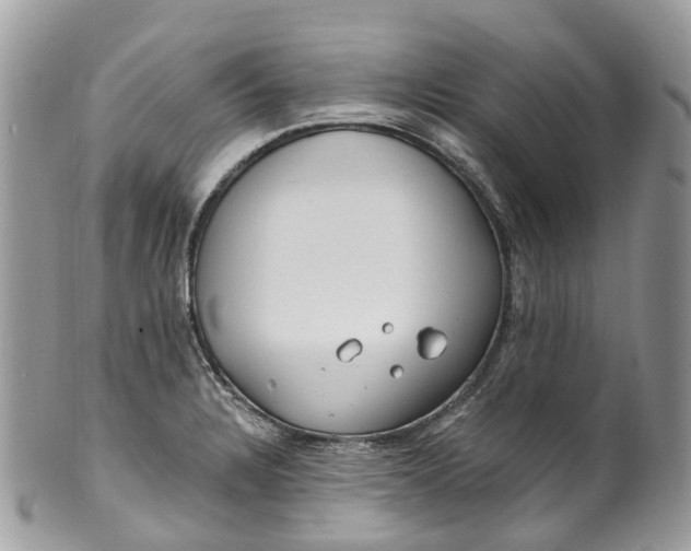 X0000099521328200806051202