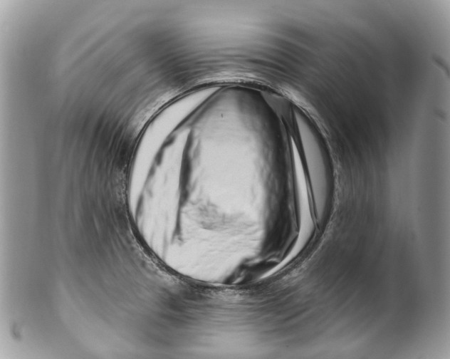 X0000099521329200806051202