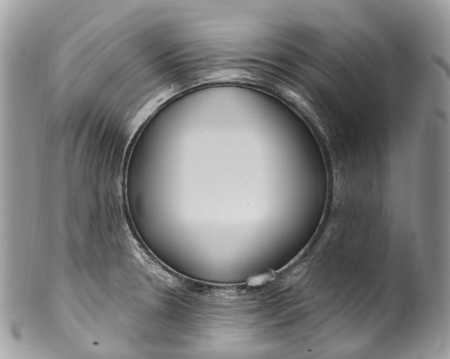 X0000099521330200806051202