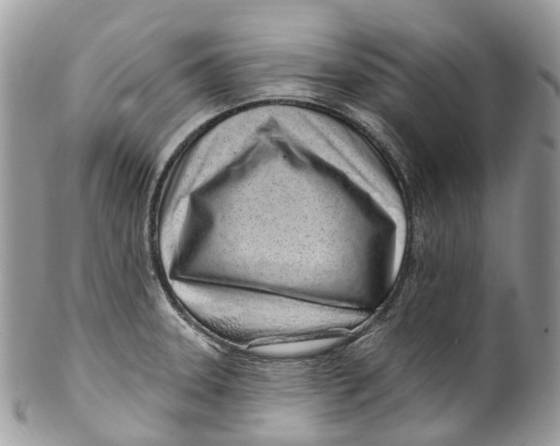 X0000099521331200806051202