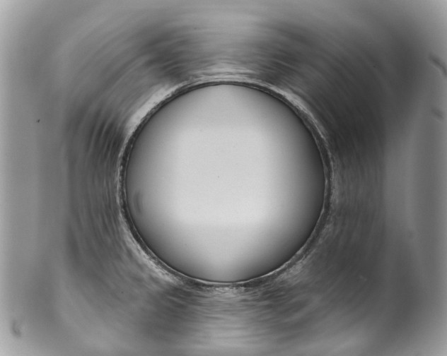 X0000099521333200806051202