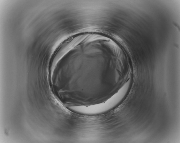 X0000099521334200806051202